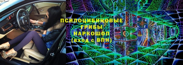 дживик Арсеньев